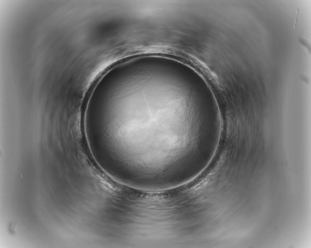 X0000094371174200711021524