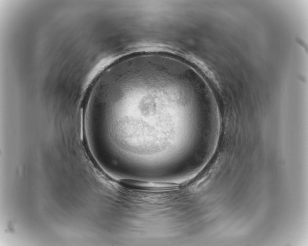 X0000094371175200711021524