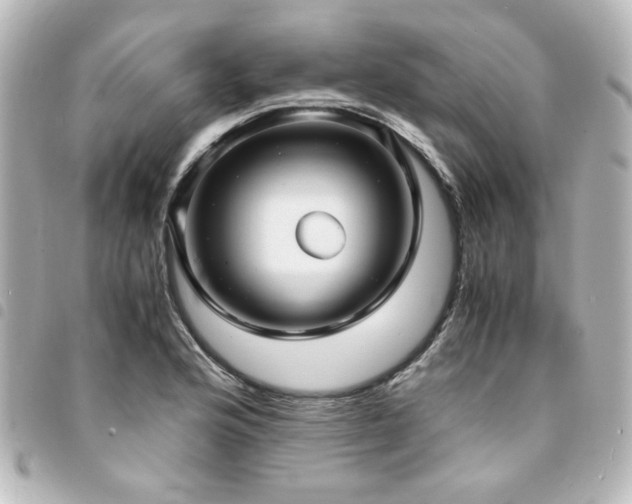 X0000094371176200711021524