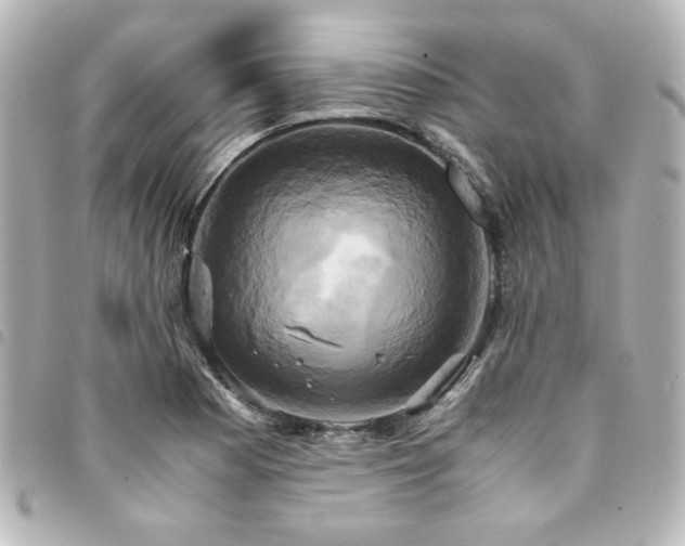 X0000094371177200711021524