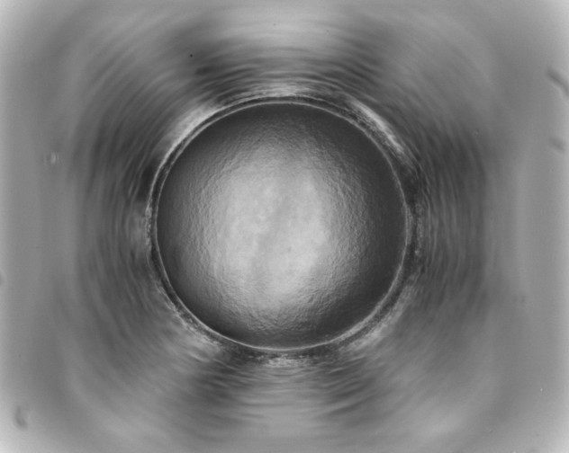 X0000094371178200711021524