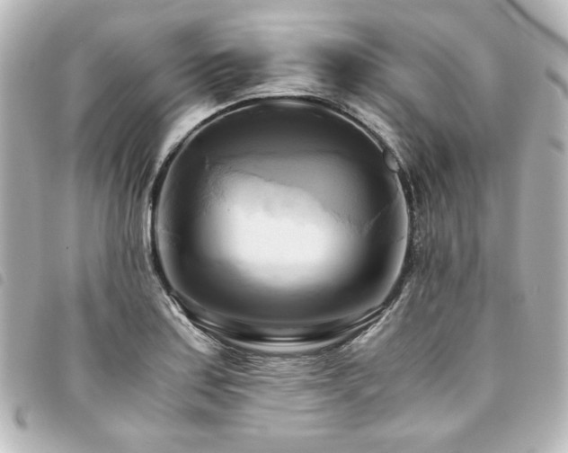 X0000094371179200711021524