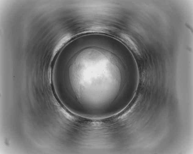 X0000094371180200711021524