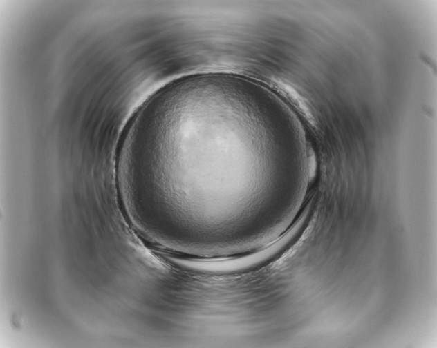 X0000094371184200711021524