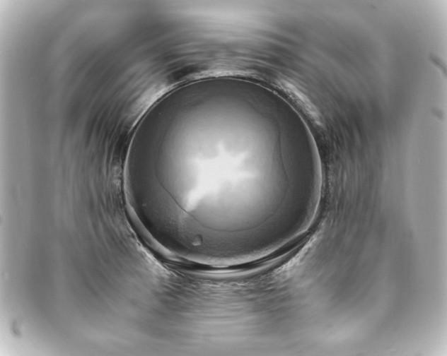 X0000094371185200711021524