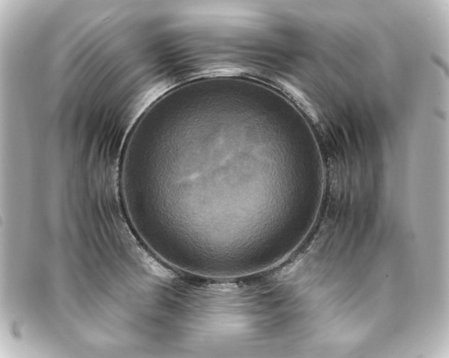 X0000094371186200711021524