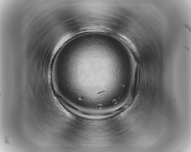 X0000094371188200711021524