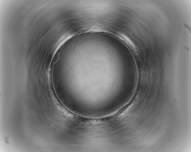 X0000094371190200711021524