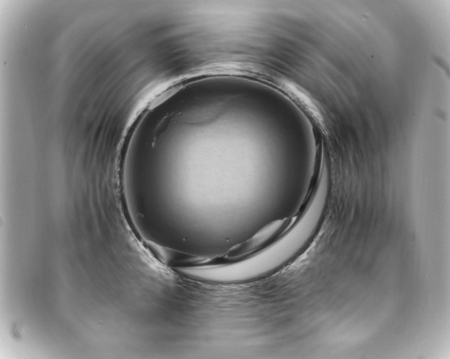 X0000094371192200711021524