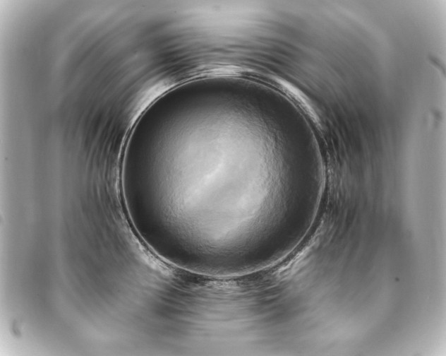 X0000094371194200711021524