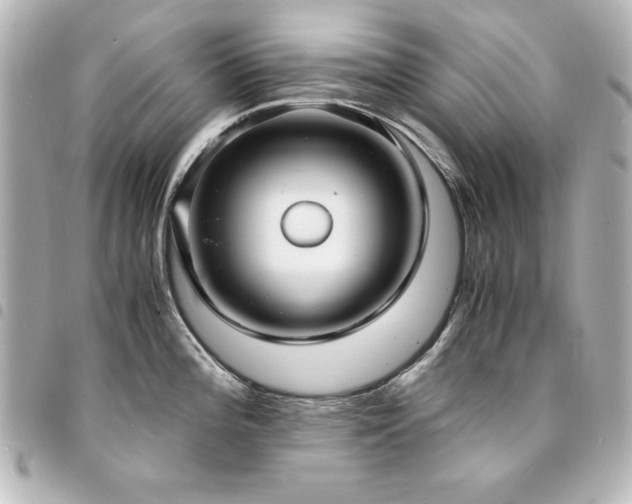 X0000094371196200711021524