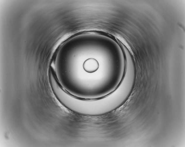 X0000094371197200711021524