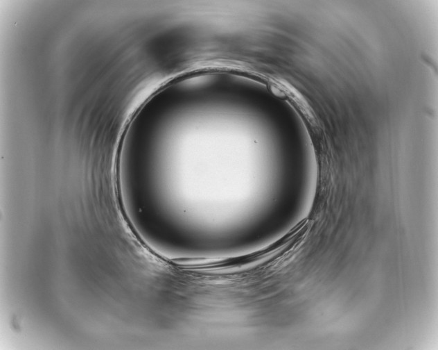 X0000094371199200711021524