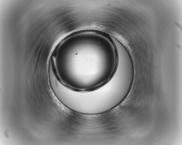 X0000094371200200711021524