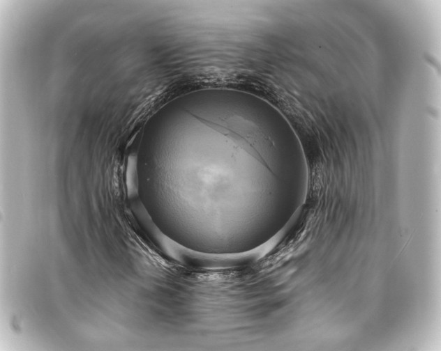 X0000094371202200711021523