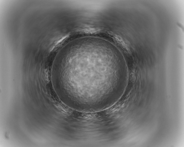 X0000094371205200711021523