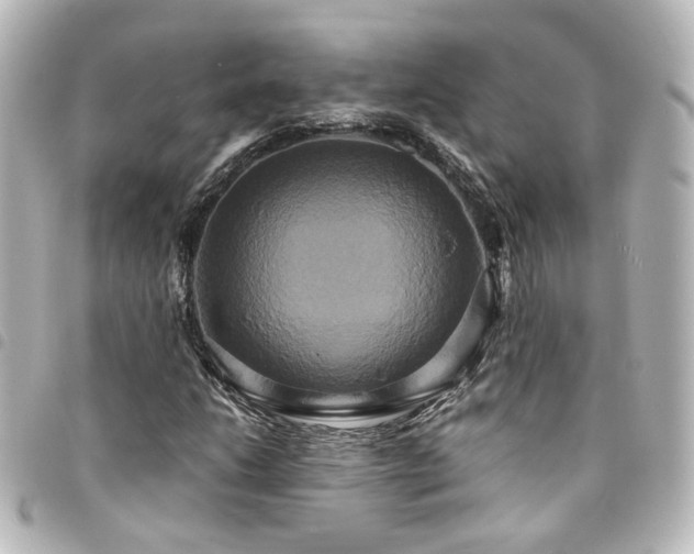 X0000094371206200711021523