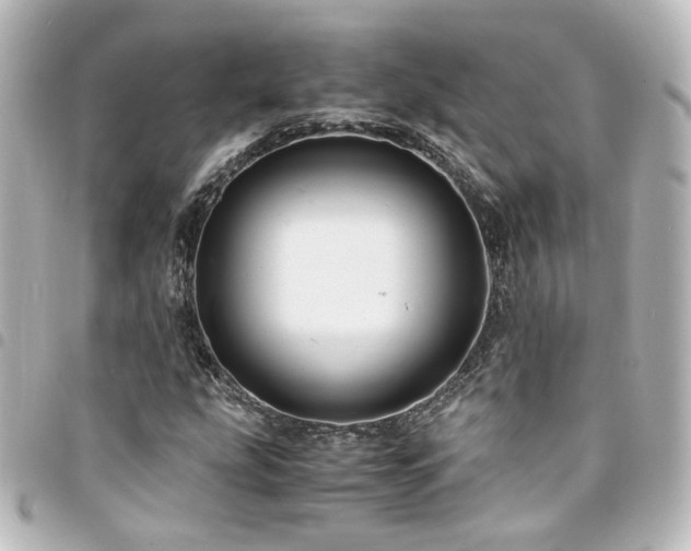 X0000094371207200711021523