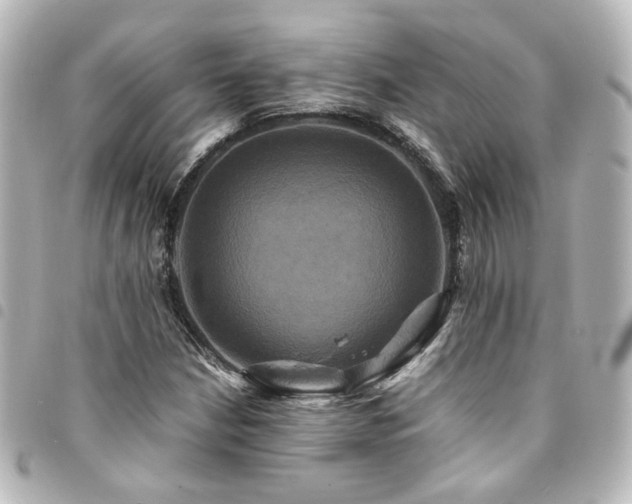 X0000094371210200711021523