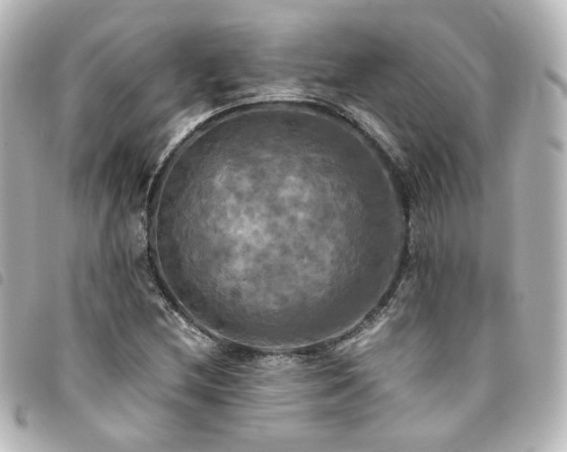 X0000094371212200711021523