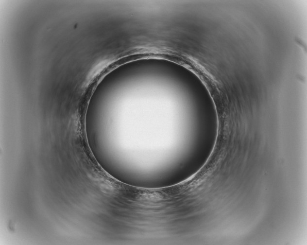 X0000094371215200711021523