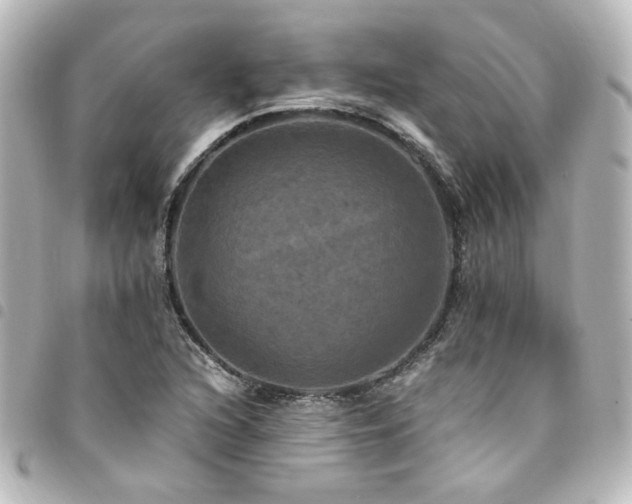 X0000094371216200711021523