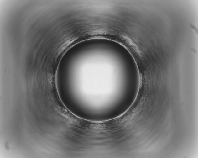 X0000094371217200711021523