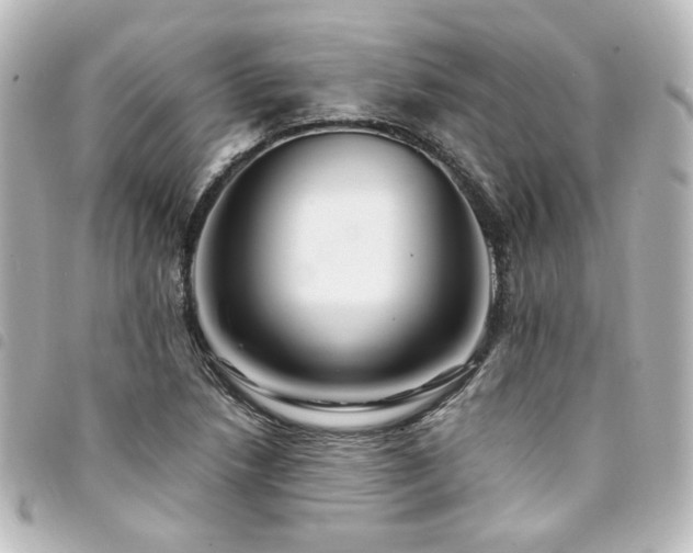 X0000094371218200711021523