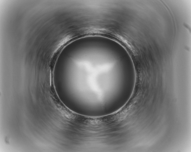 X0000094371219200711021523