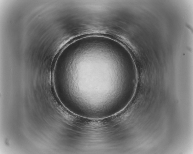 X0000094371220200711021523