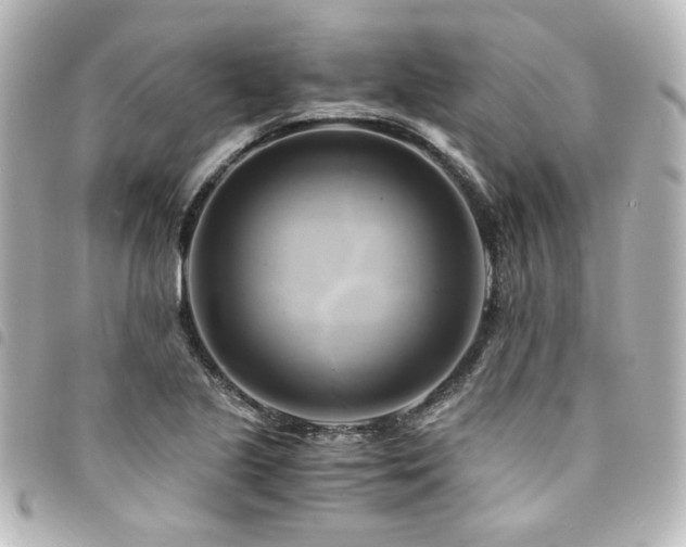 X0000094371221200711021523
