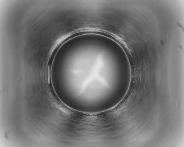 X0000094371223200711021523