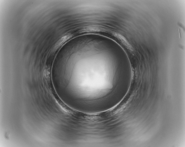 X0000094371225200711021523