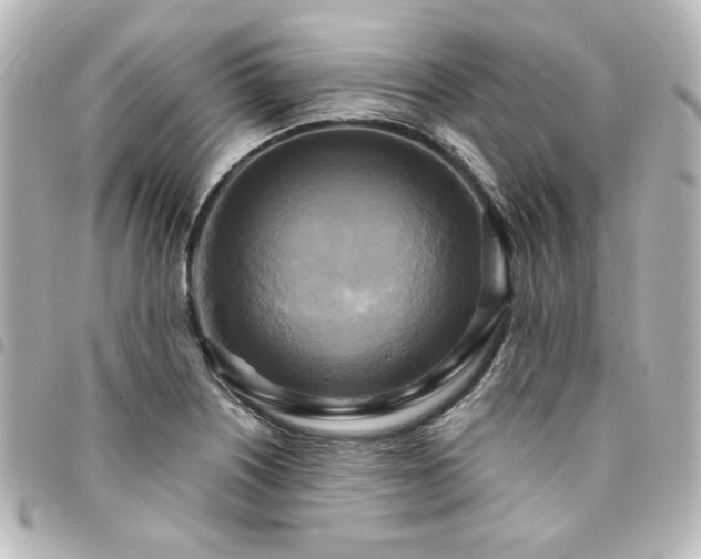 X0000094371226200711021523