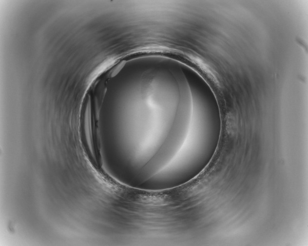X0000094371229200711021523