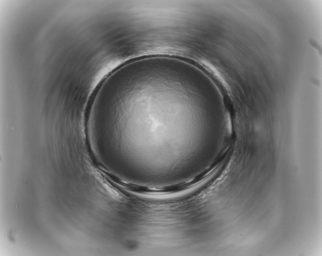 X0000094371230200711021523