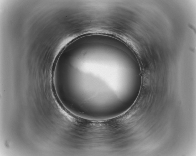 X0000094371231200711021523