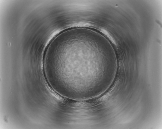 X0000094371232200711021523