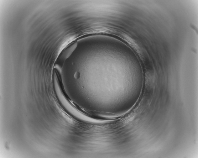 X0000094371234200711021524