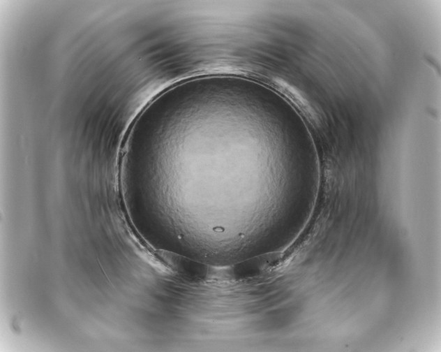 X0000094371236200711021524