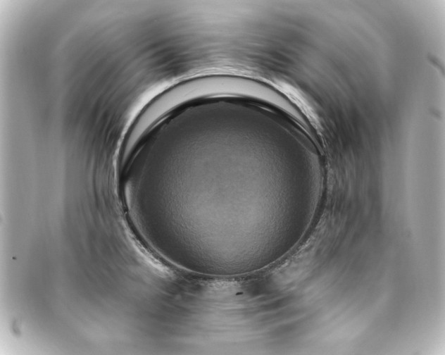 X0000094371238200711021524