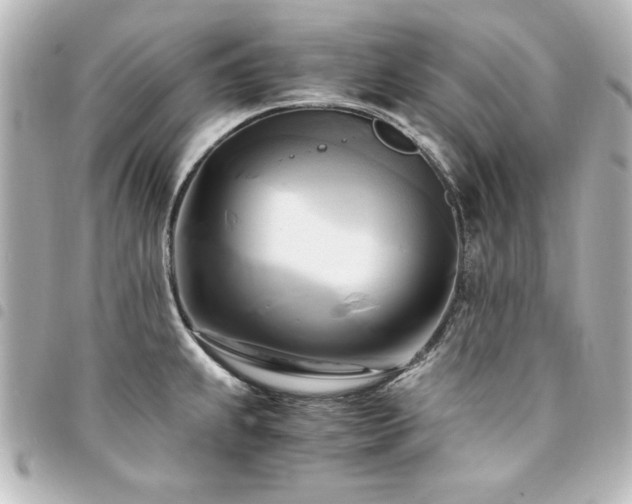 X0000094371239200711021524