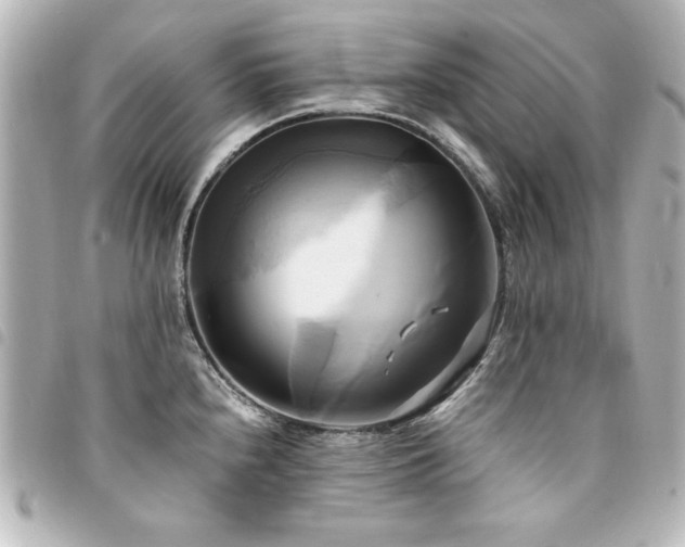 X0000094371240200711021524