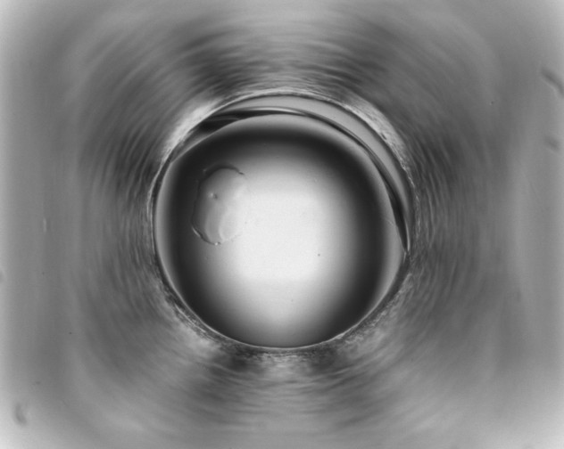 X0000094371242200711021524
