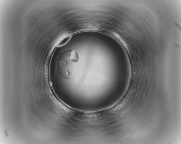 X0000094371243200711021524