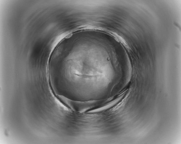 X0000094371247200711021524