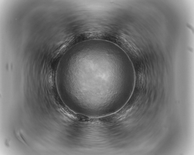 X0000094371250200711021523