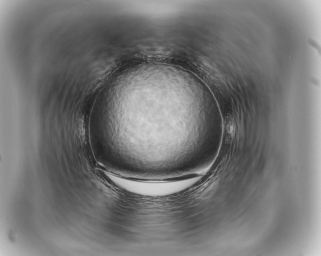 X0000094371252200711021523