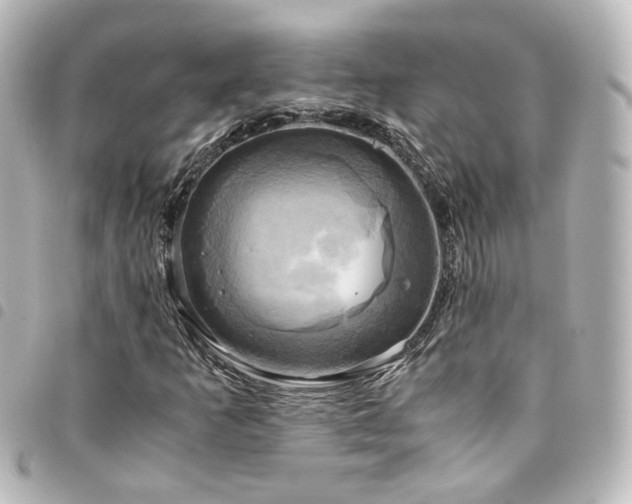 X0000094371253200711021523