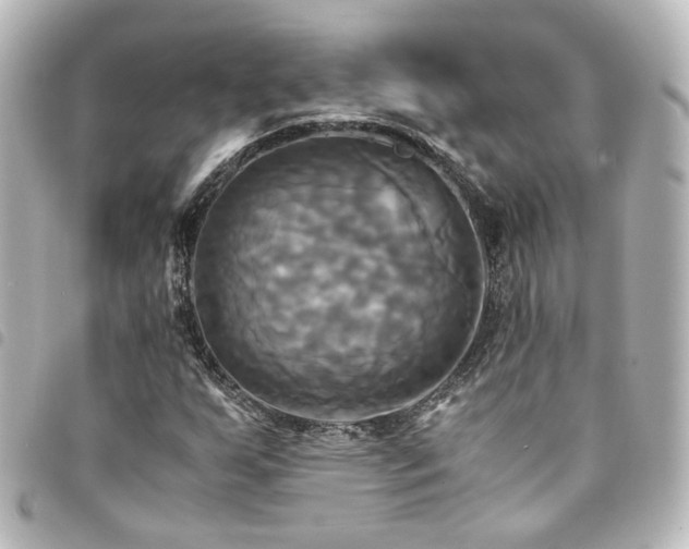 X0000094371255200711021523